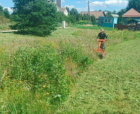 Kokybiškas aplinkos tvarkymas / Aplinkos pulsas / Darbų pavyzdys ID 4357253