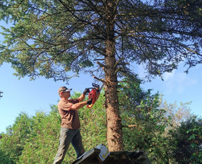 Kokybiškas aplinkos tvarkymas / Aplinkos pulsas / Darbų pavyzdys ID 4357265