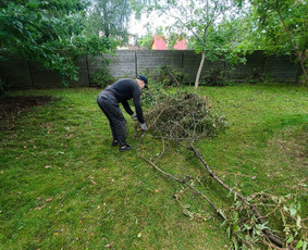 Kokybiškas aplinkos tvarkymas / Aplinkos pulsas / Darbų pavyzdys ID 4357279