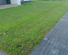 Kokybiškas aplinkos tvarkymas / Aplinkos pulsas / Darbų pavyzdys ID 4357291