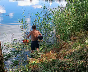 Kokybiškas aplinkos tvarkymas / Aplinkos pulsas / Darbų pavyzdys ID 4357295