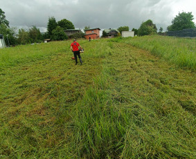 Kokybiškas aplinkos tvarkymas / Aplinkos pulsas / Darbų pavyzdys ID 4357337