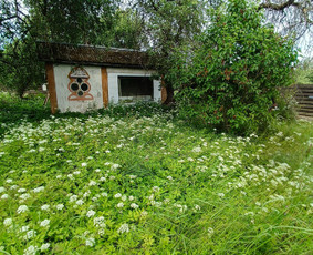 Kokybiškas aplinkos tvarkymas / Aplinkos pulsas / Darbų pavyzdys ID 4357349