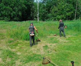 Kokybiškas aplinkos tvarkymas / Aplinkos pulsas / Darbų pavyzdys ID 4357365