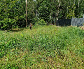 Kokybiškas aplinkos tvarkymas / Aplinkos pulsas / Darbų pavyzdys ID 4357367