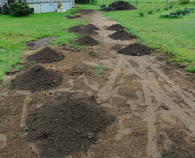 Vejos įrengimas: sėjimas, ruloninė veja - "Aplinkos pulsas" Kokybi&scaron;kas aplinkos tvarkymas - 2