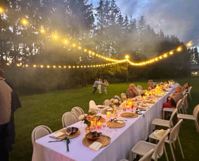 Ap&scaron;vietimo, įgarsinimo paslaugos - Kj Led girliandų nuoma jūsų &scaron;ventėms Klaipėda - 1