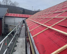 Stogdengiai, stogo darbai - Slaitinių stogų remontas ir keitimas - 4