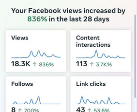 Paslaugos verslui - Socialinių tinklų administravimas - 1