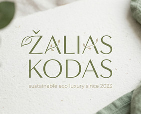 Svetainių dizainas (web design) - Brandingas / Ad video /Hero baneriai / Logo - 3