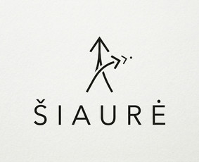 Svetainių dizainas (web design) - Brandingas / Ad video /Hero baneriai / Logo - 2