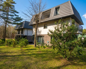 Fotografė Palangoje / Zivile Latakaite / Darbų pavyzdys ID 4357759
