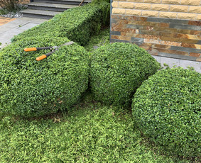 Renginių dekoravimas ir floristika / Genutė Straigytė / Darbų pavyzdys ID 4357913
