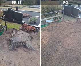 Kelmų naikinimas, frezavimas - Kelmų naikinimas frezuojant - 2