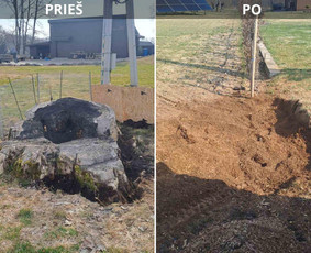 Kelmų naikinimas, frezavimas - Kelmų naikinimas frezuojant - 3