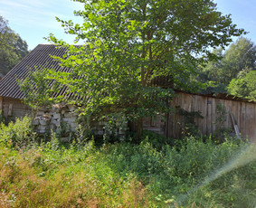 Vejos priežiūra, įrengimas - Žolės pjovimas / žemės frezavimas mažuose sklypuose - 1