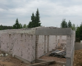 Mūrininkai / Vitoldas Kalasinskas / Darbų pavyzdys ID 4358183