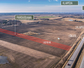 Konsultacijos NT įteisinimo klausimais - Nekilnojamo turto paslaugos,atstovavimas,tarpininkavimas - 4