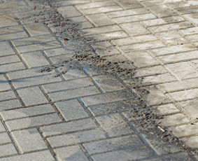 Plovimo paslaugos – švaru kaip nauja / Step by step detailing / Darbų pavyzdys ID 4358301