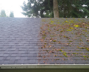 Stogų valymas ir priežiūra - Plovimo paslaugos &ndash; &scaron;varu kaip nauja - 1