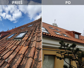 Stogdengiai, stogo darbai - Stogų dengimas, Stogdengiai - 2