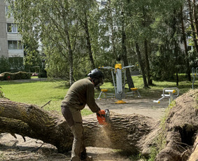 Medžių genėjimas, pjovimas - Medžių genėjimas, pjovimas, aplinkos priežiūra bei tvarkymas - 3