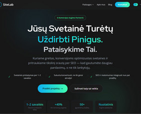 Interneto svetainių kūrimas - Svetainių ir el. parduotuvių kūrimas Seo / Ai Seo - 1