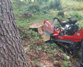 &Scaron;akų i&scaron;vežimas - Kelmų naikinimas frezuojant - 1