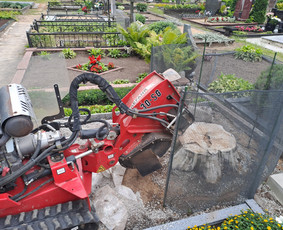 &Scaron;akų i&scaron;vežimas - Kelmų naikinimas frezuojant - 2