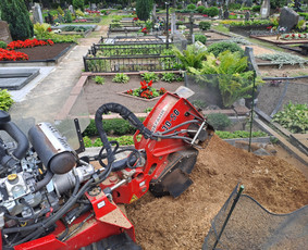 &Scaron;akų i&scaron;vežimas - Kelmų naikinimas frezuojant - 3