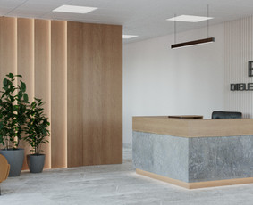 Interjero vizualizacijų kūrimas - Interjeras, kuriame viskas veikia- be klaidų ir streso. - 1