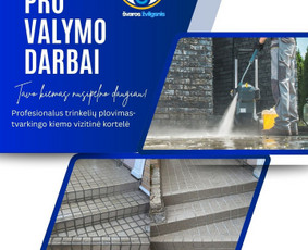 Fasadų, trinkelių, stogų, terasų plovimas / Švaros žvilgsnis / Darbų pavyzdys ID 4359975