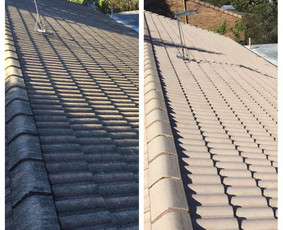 Stogų valymas ir priežiūra - Fasadų, trinkelių, stogų, terasų plovimas - 1