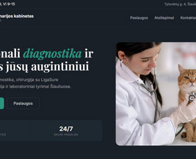 Interneto svetainių priežiūra - Puslapių kūrimas - 1