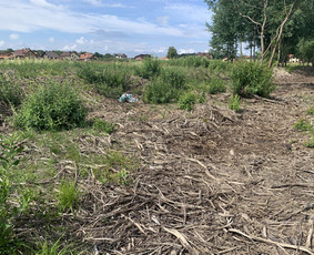 Žemės kasimas, lyginimas - Žemės kasimo darbai, kelių statyba, technikos nuom - 4