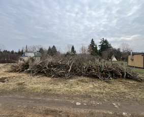 Apleistų sklypų tvarkymas - Saugus Pjūvis. Avaringų Medžių Pjovimas Genėjimas Arboristai - 4