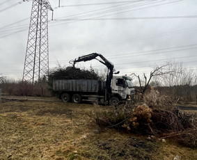 Apleistų sklypų tvarkymas - Saugus Pjūvis. Avaringų Medžių Pjovimas Genėjimas Arboristai - 3