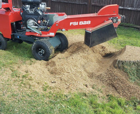 Kelmų naikinimas, frezavimas - Saugus Pjūvis. Avaringų Medžių Pjovimas Genėjimas Arboristai - 1