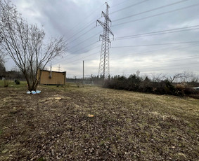 Apleistų sklypų tvarkymas - Saugus Pjūvis. Avaringų Medžių Pjovimas Genėjimas Arboristai - 1