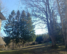 Aplinka, sodas - Saugus Pjūvis. Avaringų Medžių Pjovimas Genėjimas Arboristai - 3