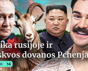 Įvairių video montavimas (iš Jūsų turimos medžiagos) / Klaidas Kizis / Darbų pavyzdys ID 4360587