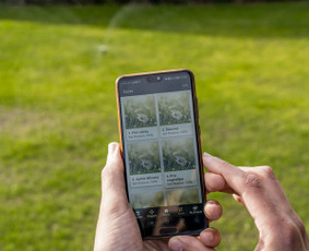 Laistymo sistemos, įrengimas - Vejos laistymo sistemų projektavimas, montavimas, remontas - 4