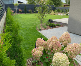 &Scaron;laitų tvirtinimas ir apželdinimas - Apželdinimas, kra&scaron;tovaizdžio projektavimas - 2