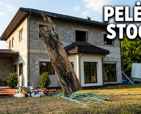 Pelėsio ir medžio grybo "Trobagrybio" naikinimas, šalinimas / PelėsioNaikinimasSalinimas.lt / Darbų pavyzdys ID 4361353