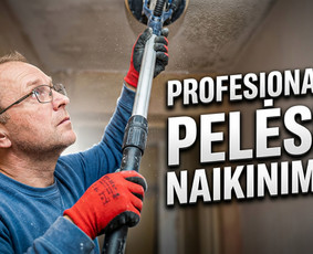 Pelėsio ir medžio grybo "Trobagrybio" naikinimas, šalinimas / PelėsioNaikinimasSalinimas.lt / Darbų pavyzdys ID 4361359