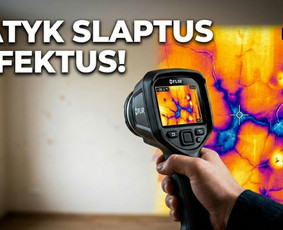 Pelėsio ir medžio grybo "Trobagrybio" naikinimas, šalinimas / PelėsioNaikinimasSalinimas.lt / Darbų pavyzdys ID 4361363