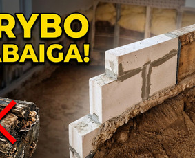 Pelėsio ir medžio grybo "Trobagrybio" naikinimas, šalinimas / PelėsioNaikinimasSalinimas.lt / Darbų pavyzdys ID 4361377
