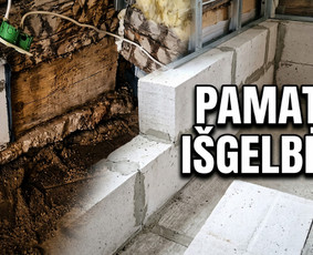 Pelėsio ir medžio grybo "Trobagrybio" naikinimas, šalinimas / PelėsioNaikinimasSalinimas.lt / Darbų pavyzdys ID 4361379