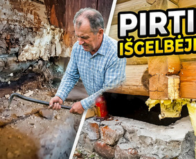 Pelėsio ir medžio grybo "Trobagrybio" naikinimas, šalinimas / PelėsioNaikinimasSalinimas.lt / Darbų pavyzdys ID 4361399