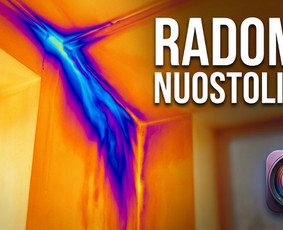 Pelėsio ir medžio grybo "Trobagrybio" naikinimas, šalinimas / PelėsioNaikinimasSalinimas.lt / Darbų pavyzdys ID 4361405